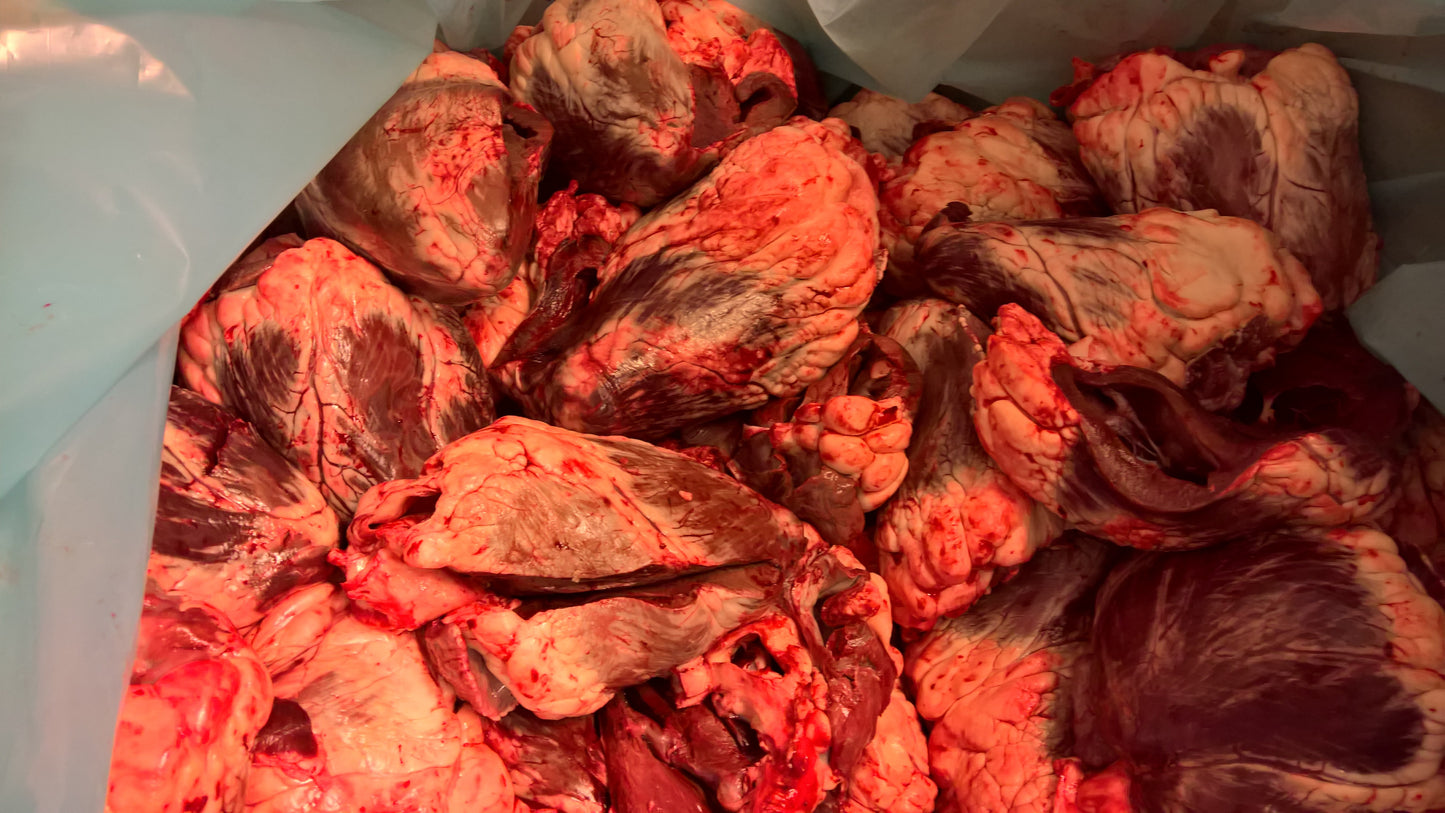 Dog Food Frozen BEEF & CHICKEN MINCE. BARF RAW DIET 40x500g Chubs 20kg box
